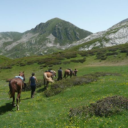 Agriturismo Bio-Ecologico Sant'Isidoro Roccaforte Mondovì Buitenkant foto