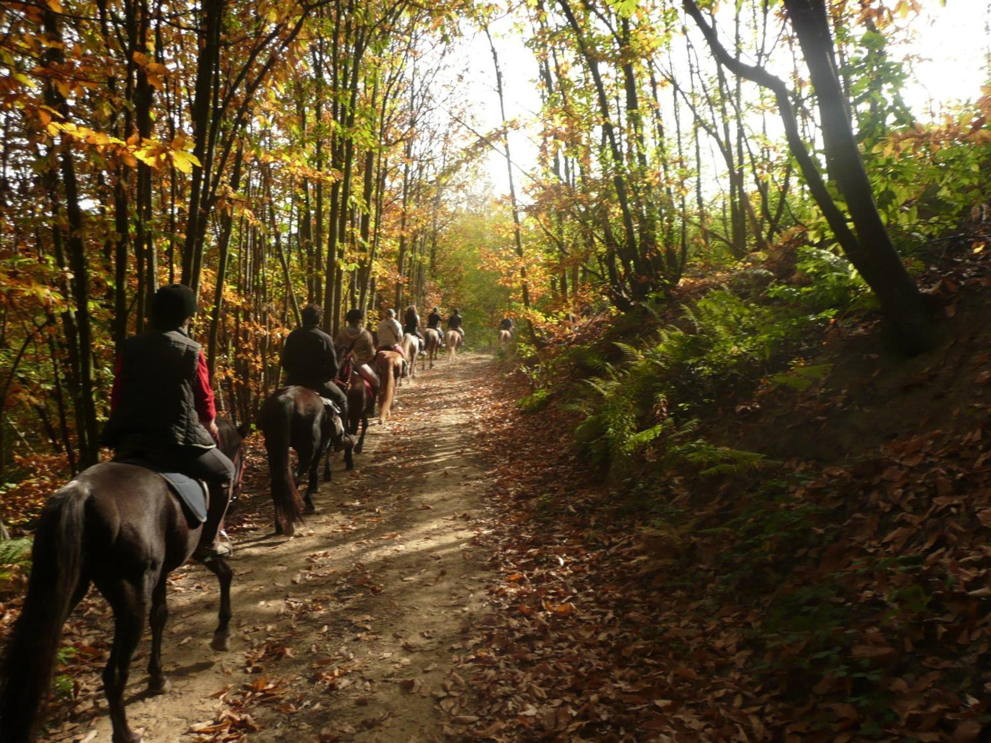 Agriturismo Bio-Ecologico Sant'Isidoro Roccaforte Mondovì Buitenkant foto