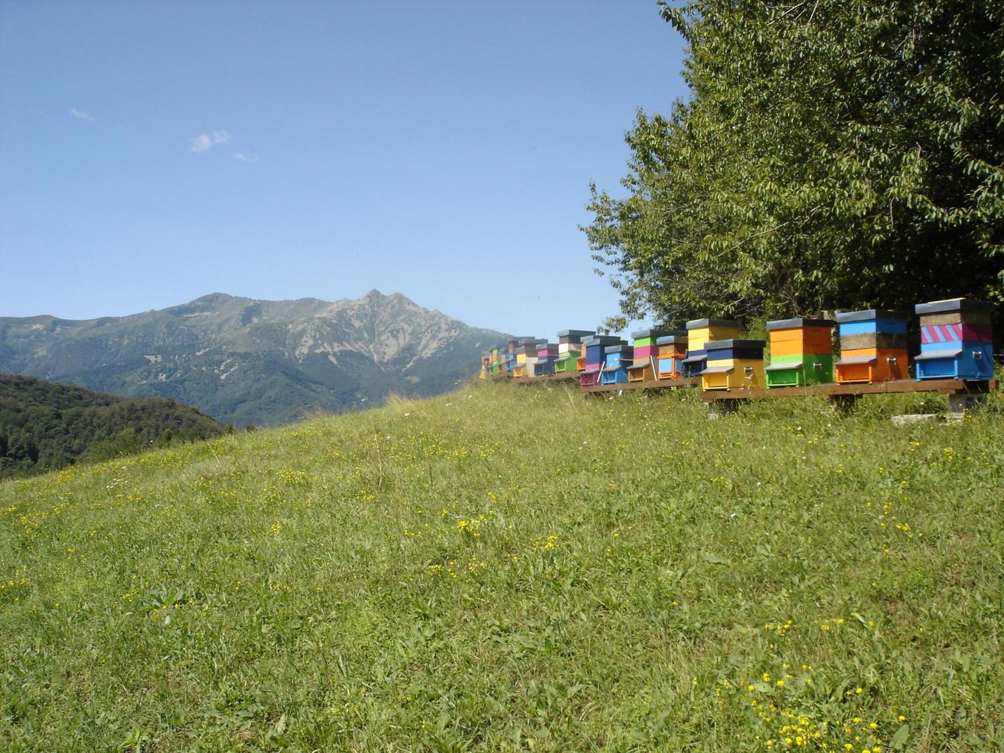 Agriturismo Bio-Ecologico Sant'Isidoro Roccaforte Mondovì Buitenkant foto