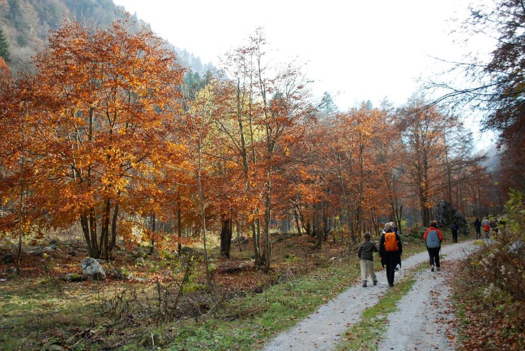 Agriturismo Bio-Ecologico Sant'Isidoro Roccaforte Mondovì Buitenkant foto