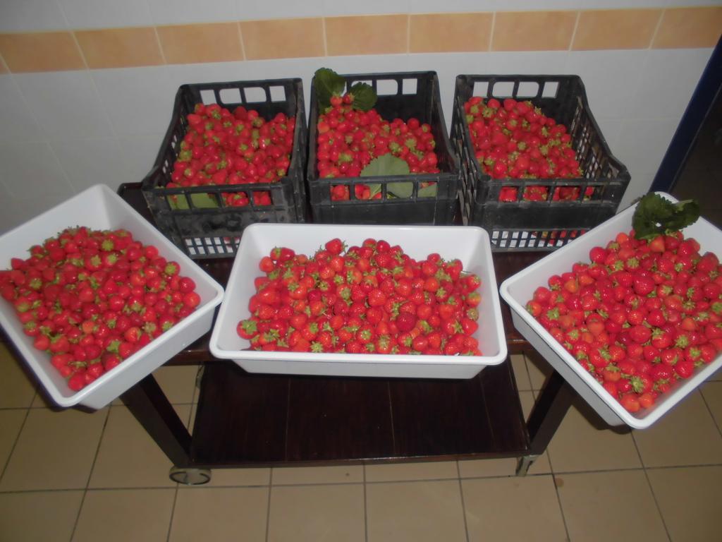 Agriturismo Bio-Ecologico Sant'Isidoro Roccaforte Mondovì Buitenkant foto
